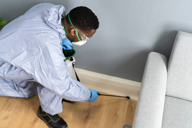 Trusted Miramar, FL Pest Control Experts